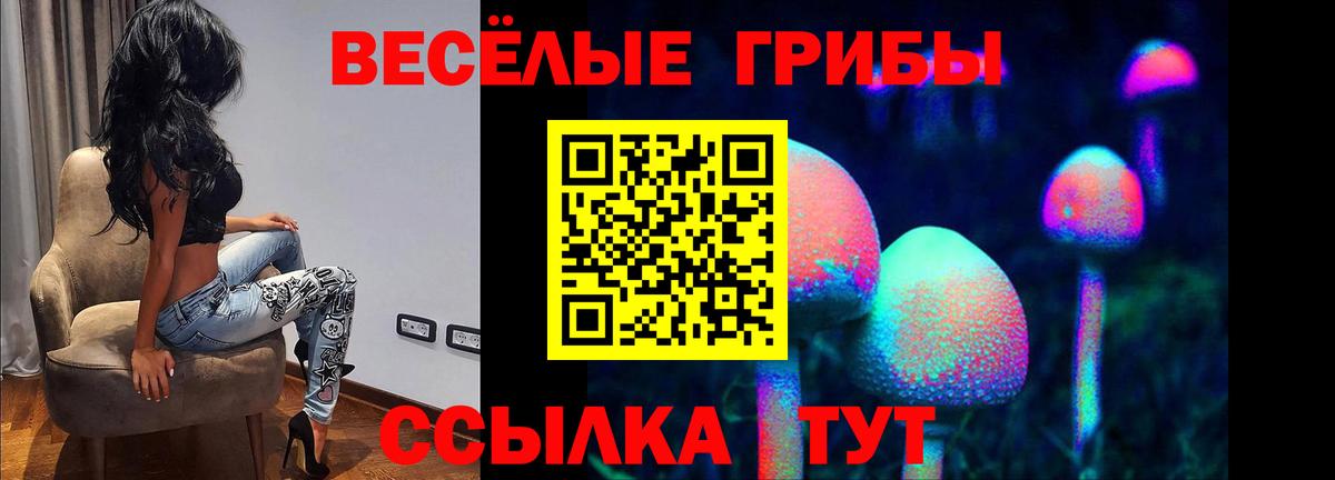 Галлюциногенные грибы Psilocybe  Вход с VPN  Унеча 