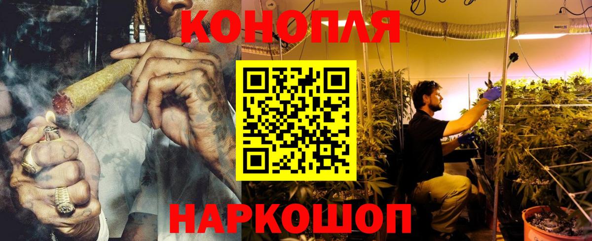 МАРИХУАНА сатива Унеча